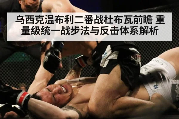乌西克温布利二番战杜布瓦前瞻 重量级统一战步法与反击体系解析